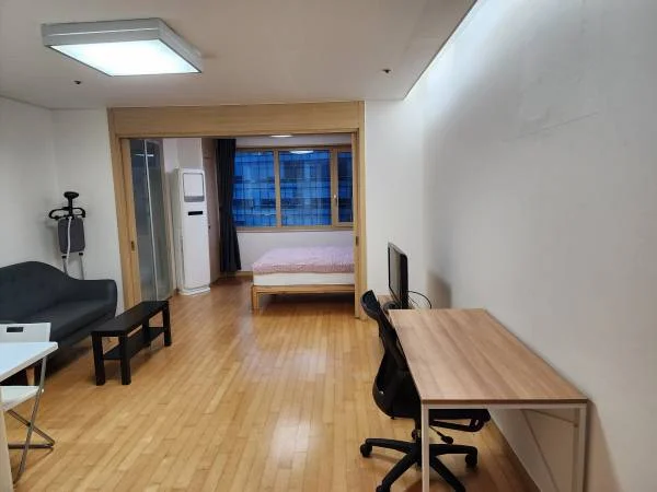 Cozy, Spacious, Fully Furnished Apartment near Ewha Univ.