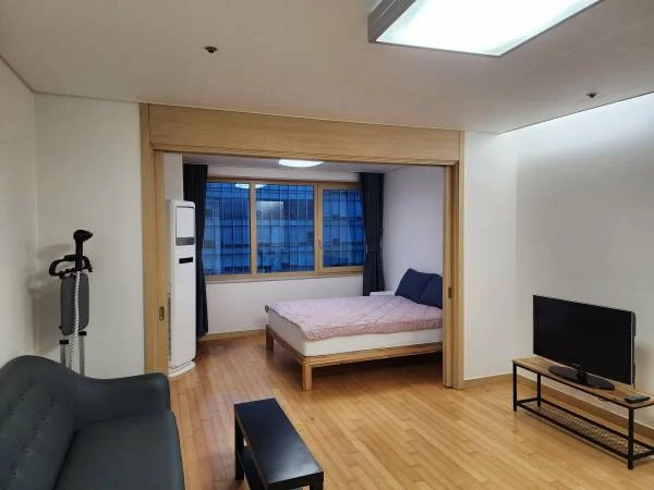 Cozy, Spacious, Fully Furnished Apartment near Ewha Univ.